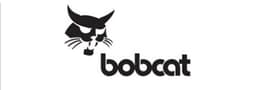 Bobcat